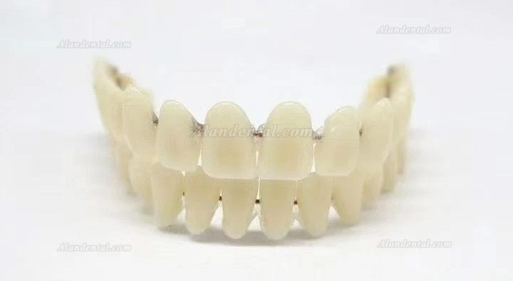 CAIYU Dental Resin Dentures (Flexible Bilateral Symmetrical) A1/A2/A3/A3.5/A4